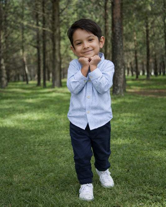 The Classic Charm Formal Dotted Shirt